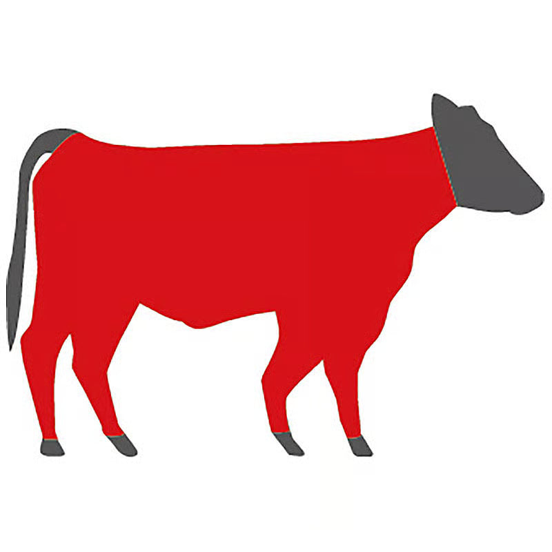 Rind ohne knochen fleisch